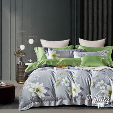 Комплект постельного белья Viluta Евро Сатин Египетский хлопок 17