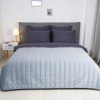 Покрывало стеганое Viluta Велюр 210х240 (+ наволочки 50х70 2 шт.) Monument