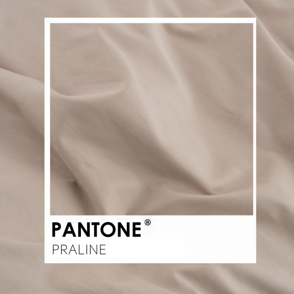 Простынь на резинке Сатин Luxe Viluta 200х160+25 Praline