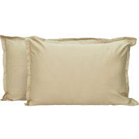 Набор наволочек Viluta Tencel (Тенсел) 50х70+2 (2 шт.) 14