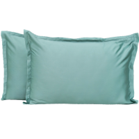 Набор наволочек Viluta Tencel (Тенсел) 50х70+2 (2 шт.) 18