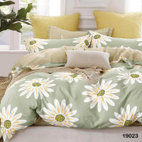 Комплект постельного белья Viluta Евро Ранфорс 19023