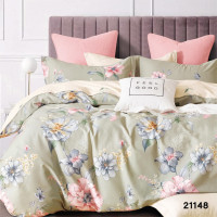 Комплект постельного белья Viluta Полуторный Ранфорс 21148