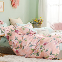 Комплект постельного белья Viluta Полуторный Ранфорс 21149