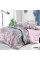 Комплект постельного белья Viluta Евро Ранфорс 22186