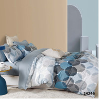 Комплект постельного белья Viluta Евро Ранфорс 24246
