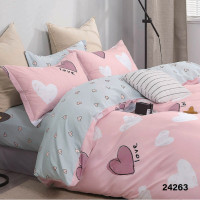 Комплект постільної білизни Viluta Підлітковий Ранфорс 24263