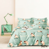 Комплект постельного белья Viluta Подростковый Ранфорс 24274