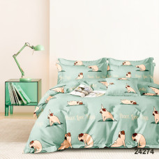 Комплект постельного белья Viluta Подростковый Ранфорс 24274