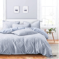 Комплект постельного белья Viluta Евро Ранфорс 24288