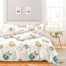 Комплект постельного белья Viluta Подростковый Ранфорс 24291