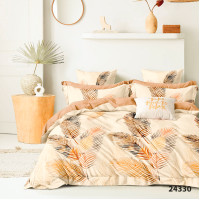 Комплект постельного белья Viluta Евро Ранфорс 24330