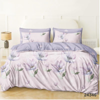 Комплект постельного белья Viluta Полуторный Ранфорс 24346