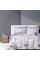 Комплект постільної білизни Viluta Сімейний Ранфорс 25362
