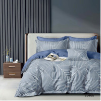 Комплект постільної білизни Viluta Полуторний Ранфорс 25406