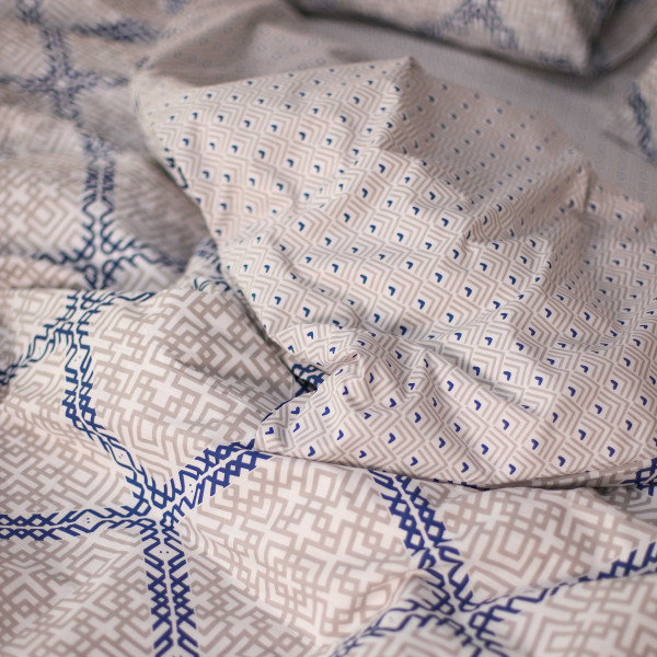 Комплект постельного белья Viluta Евро Ранфорс 21161