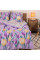 Комплект постельного белья Viluta Семейный Ранфорс 22177
