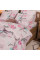 Комплект постельного белья Viluta Семейный Ранфорс 22215