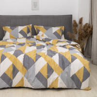 Полукомплект постельного белья Viluta Евро Сатин Luxe (Пододеяльник 200х220 + наволочки 50х70 - 2 шт.) 152