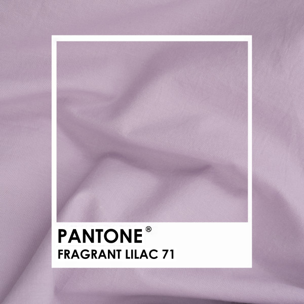 Набор наволочек Viluta Вареный хлопок Wash 70х70 (2 шт.) 71