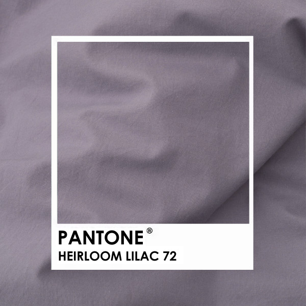 Комплект постельного белья Viluta Евро Вареный хлопок Wash 72