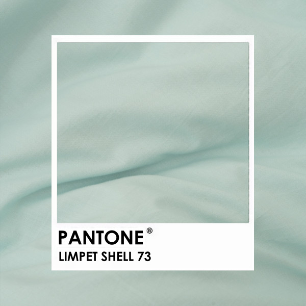 Набор наволочек Viluta Вареный хлопок Wash 70х70 (2 шт.) 73